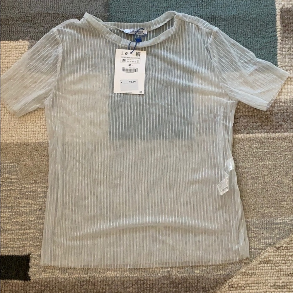 NWT Zara sheer lurex tee